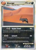 Slisorger