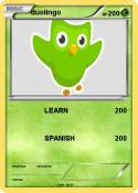 duolingo