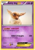 funny dog