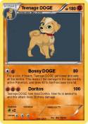 Teenage DOGE