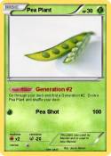 Pea Plant