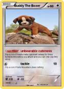 Buddy The Boxer