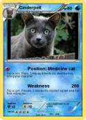 Cinderpelt