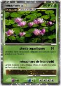 nenuphars