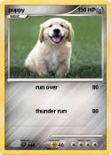 puppy