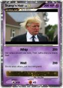 Trump's Hair