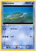 tortue marine