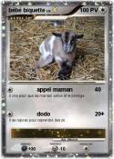 bébé biquette