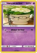 Harry pot de