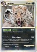 Leopard