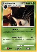 Scardy cat