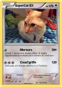 SuperCat EX