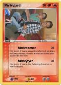 Marleyzard