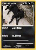 loup noir crois