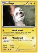 Dogis