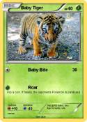 Baby Tiger
