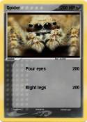 Spider