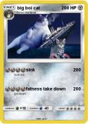 big boi cat