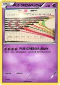 PUB GRÉSIVAUDAN