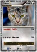 Chat