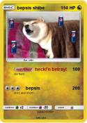 bepsis shibe