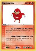 Tiny Knuckles
