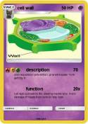 cell wall