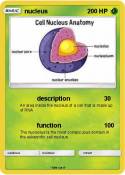 nucleus
