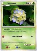 hortensias