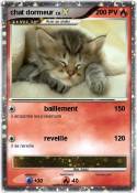 chat dormeur