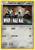 watch me whip