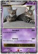 Cats