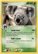 koala