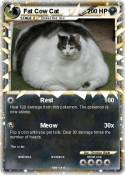 Fat Cow Cat