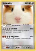Guinea Pig