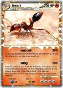 fireant