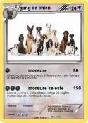 gang de chien