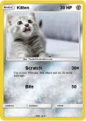 Kitten