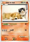 chien et chat
