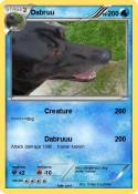 Dabruu