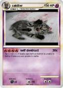 cakiller