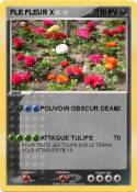 FLE FLEUR X