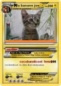 la banane joe