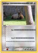 antlope 9999999