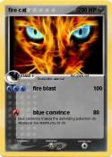 fire cat