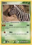 Zebra