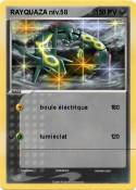 RAYQUAZA niv.58