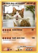 cat AKA dog