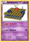 Cell Membrane