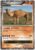 Camel